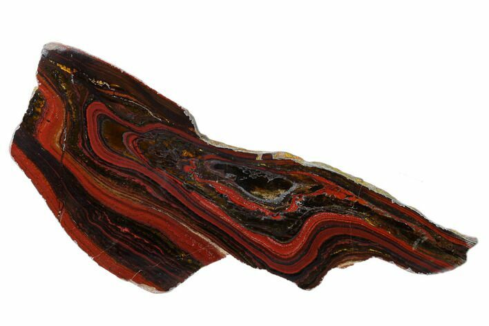 Polished Tiger Iron Stromatolite Slab - Billion Years #162102